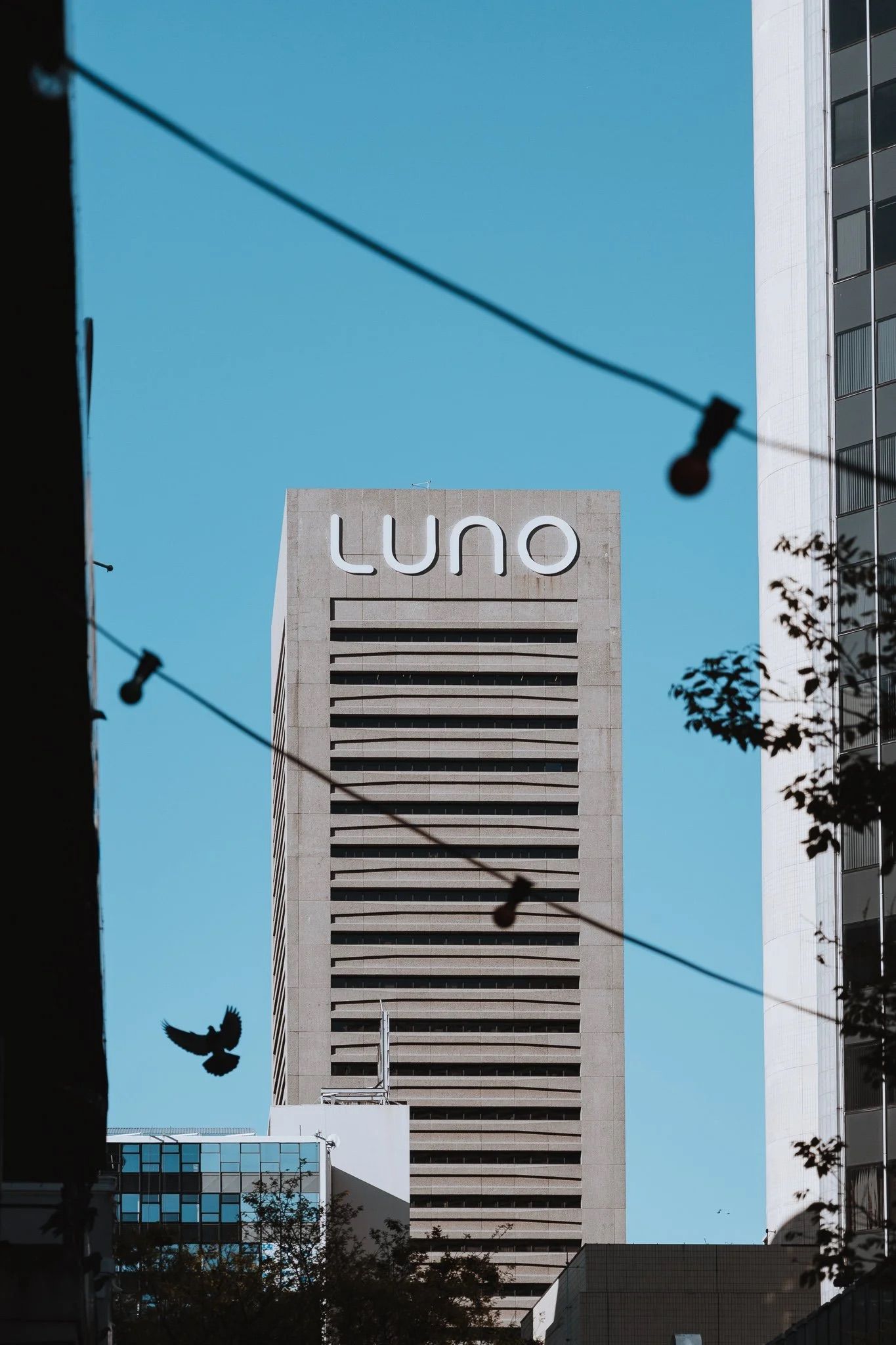 Luno Billboard Campaign — 3w8a0088